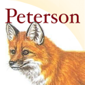 Peterson Mammals North America