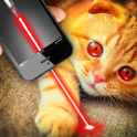 Real laser for cat joke