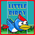Little Birdy
