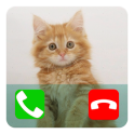 Talking Cat Calling Prank