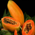 Papaya - IPM