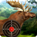 Moose Target Shooting