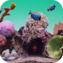Seawater Aquarium Video Wallpaper