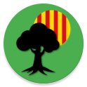 Árboles Monumentales Cataluña