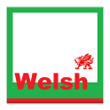 Beginner Welsh