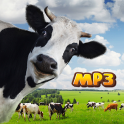 Funny Cow Sounds Audio