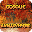 Bosque Wallpapers gratis