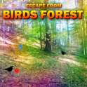 Escape From Birds Forest
