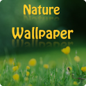 Nature HD Wallpapers