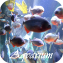 Aquarium Live-Hintergrund