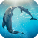 Дельфины живые обои