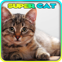 Super Cat 3D