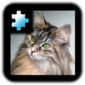 Jigsaw Puzzle: Cat