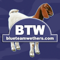 Blue Team Wethers