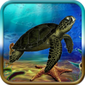 Turtle Adventure Game