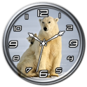 Polar Bear Clock Live WP