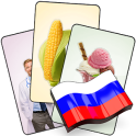 فلش کارت روسی با ۴۰۸ کارت آموزش زبان روسی