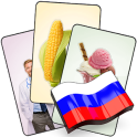 Russian Flash Cards with 408 Cards for Learning