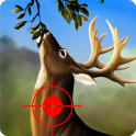 Jungle Deer Hunting Game 2017: Deer Hunting game