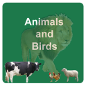 Learn Animals and Birds in English - Quiz