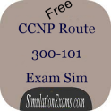 CCNP Route 300-101 ExSim-Free