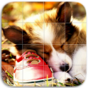 Süße Hunde Puzzle