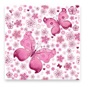 Rosa Pink Hintergrundbilder