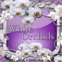 Белые Орхидеи Го Лаунчер тема