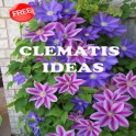 Ideias Clematis