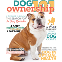 Dog Ownership 101 Magazine