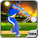 Play Cricket Worldcup 2016