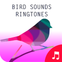 Pájaro Sonidos Ringtones