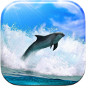 Dolphin Live Wallpaper