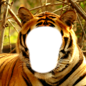 Tiger Foto-Montage