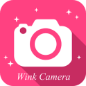Wink Camera