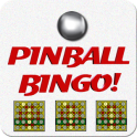 Pinball Bingo Machine