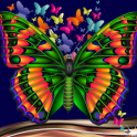 collage de foto de la mariposa