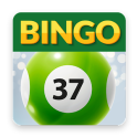 Bingo37