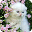 Puzzle - kittens