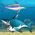 Sword Fish Shark Attack