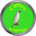 Cantos de Araponga