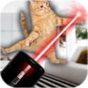 Laser for cat