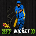 Hit Wicket Cricket 2018