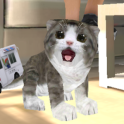 Real Cat Simulator