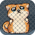 Perro Shibo - Mascota Virtual