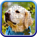 Jigsaw Puzzle Master