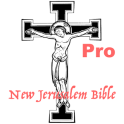 New Jerusalem Bible NJB Audio Pro