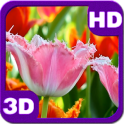 3D Fascinating Tulips Free