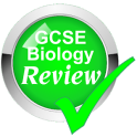 WJEC GCSE Biology Review