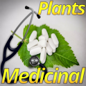 Medicinal Plants and its uses